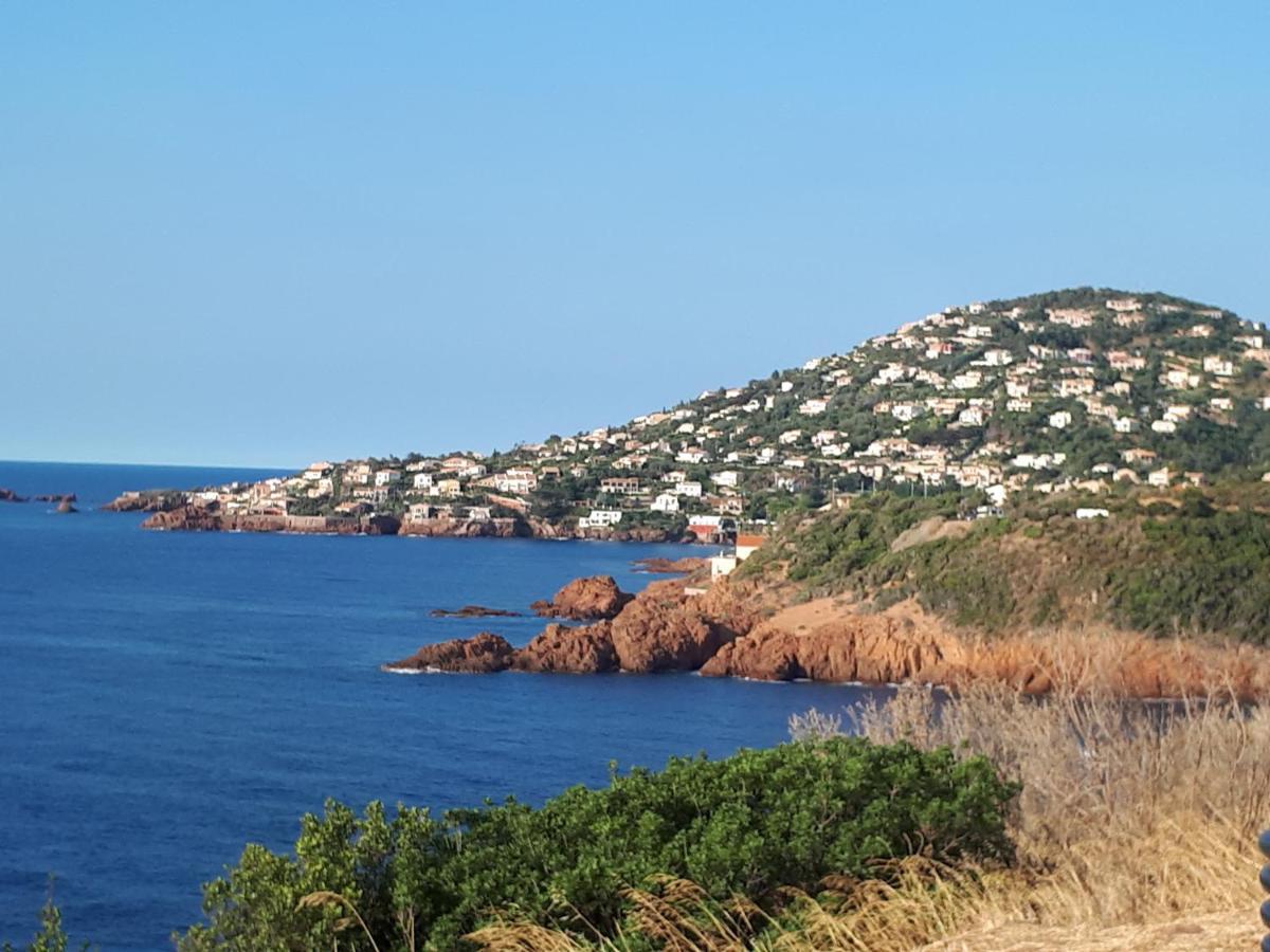 Frejus Plage T2, Piscine, Parking, Plages A 200M المظهر الخارجي الصورة