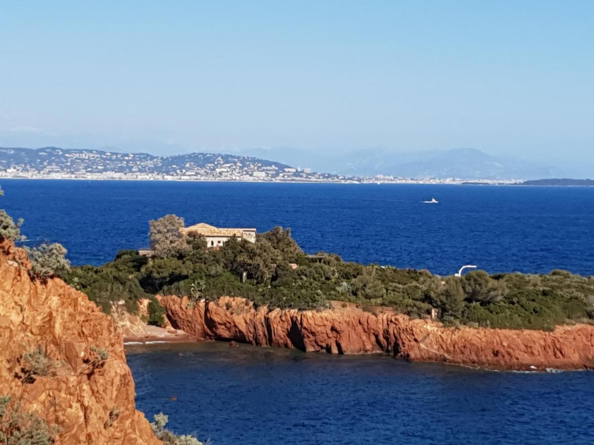Frejus Plage T2, Piscine, Parking, Plages A 200M المظهر الخارجي الصورة