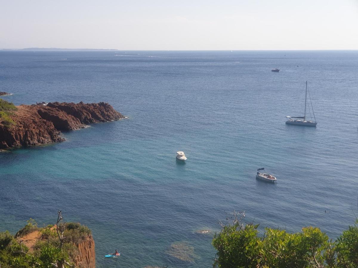 Frejus Plage T2, Piscine, Parking, Plages A 200M المظهر الخارجي الصورة