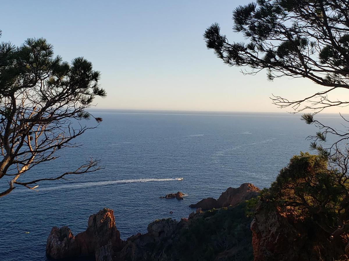 Frejus Plage T2, Piscine, Parking, Plages A 200M المظهر الخارجي الصورة